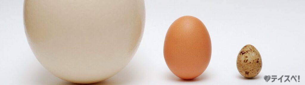 大きさの違う卵